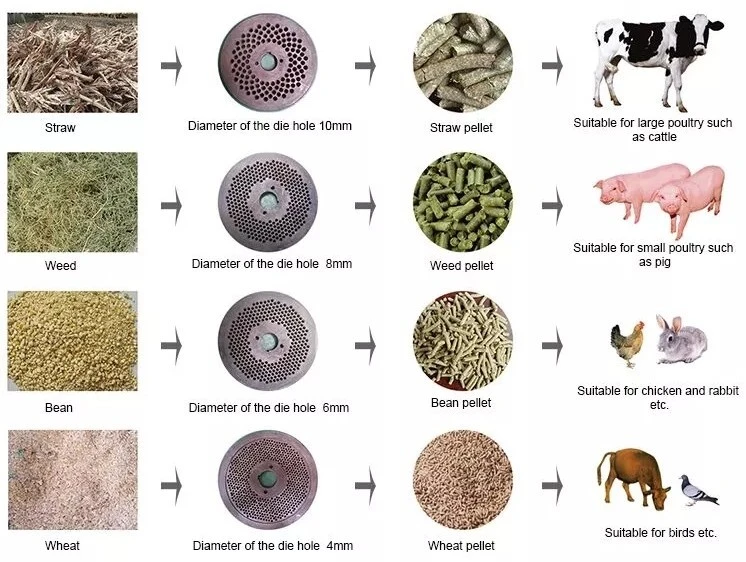 chicken feed machine chicken feed machine